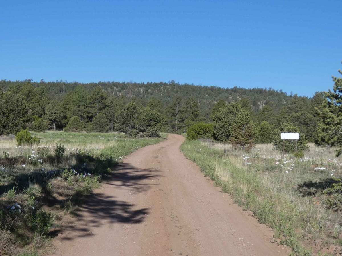 Crosby Canyon FS66 photo 3