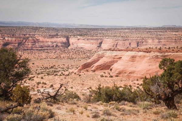 Cedar Mountain 1094