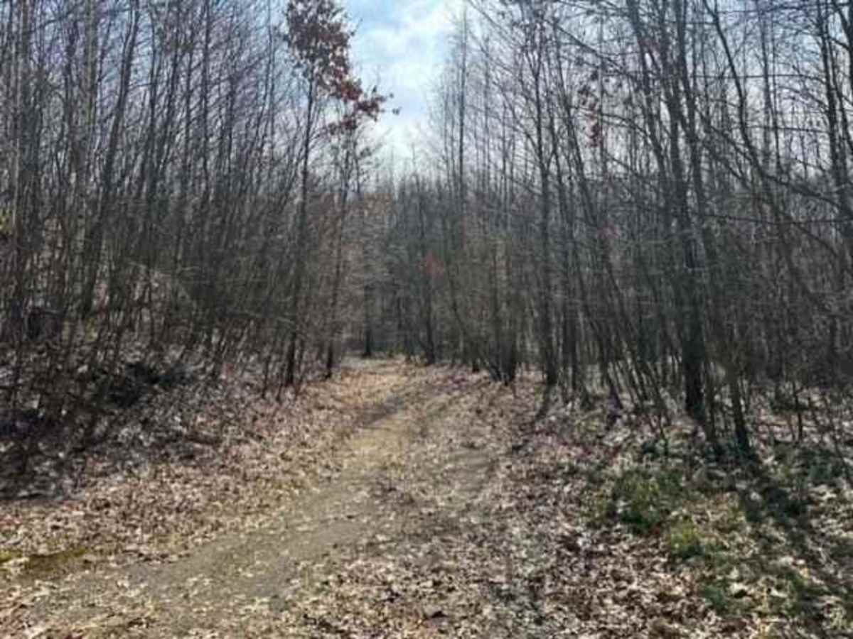 Ashland 109 photo 6