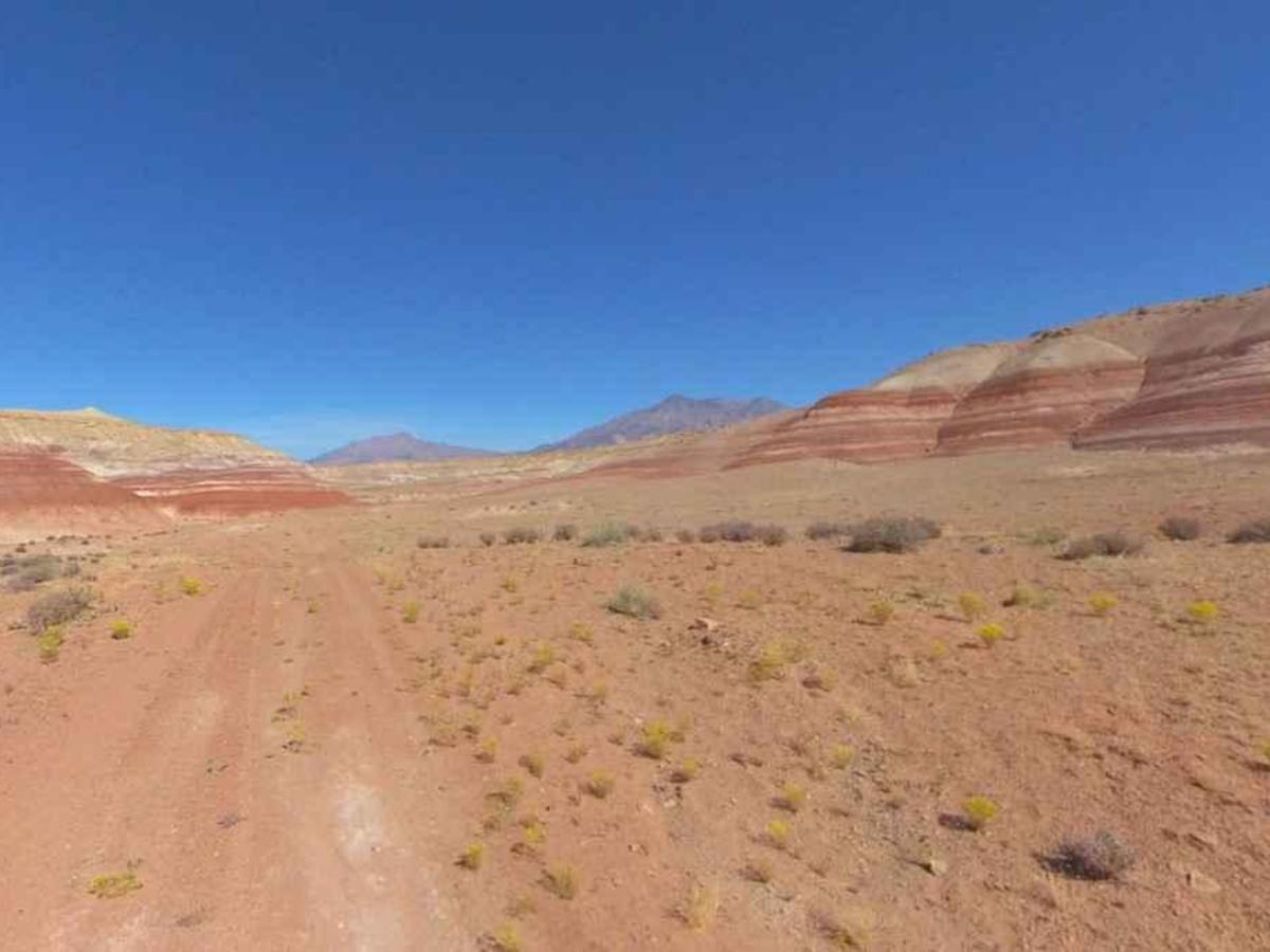BLM13325 photo 2