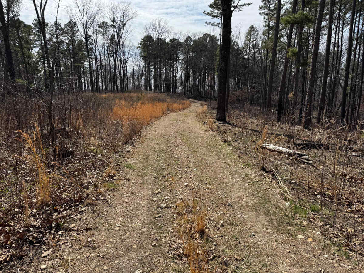 Prieskon Hollow - FSR 143 photo 3