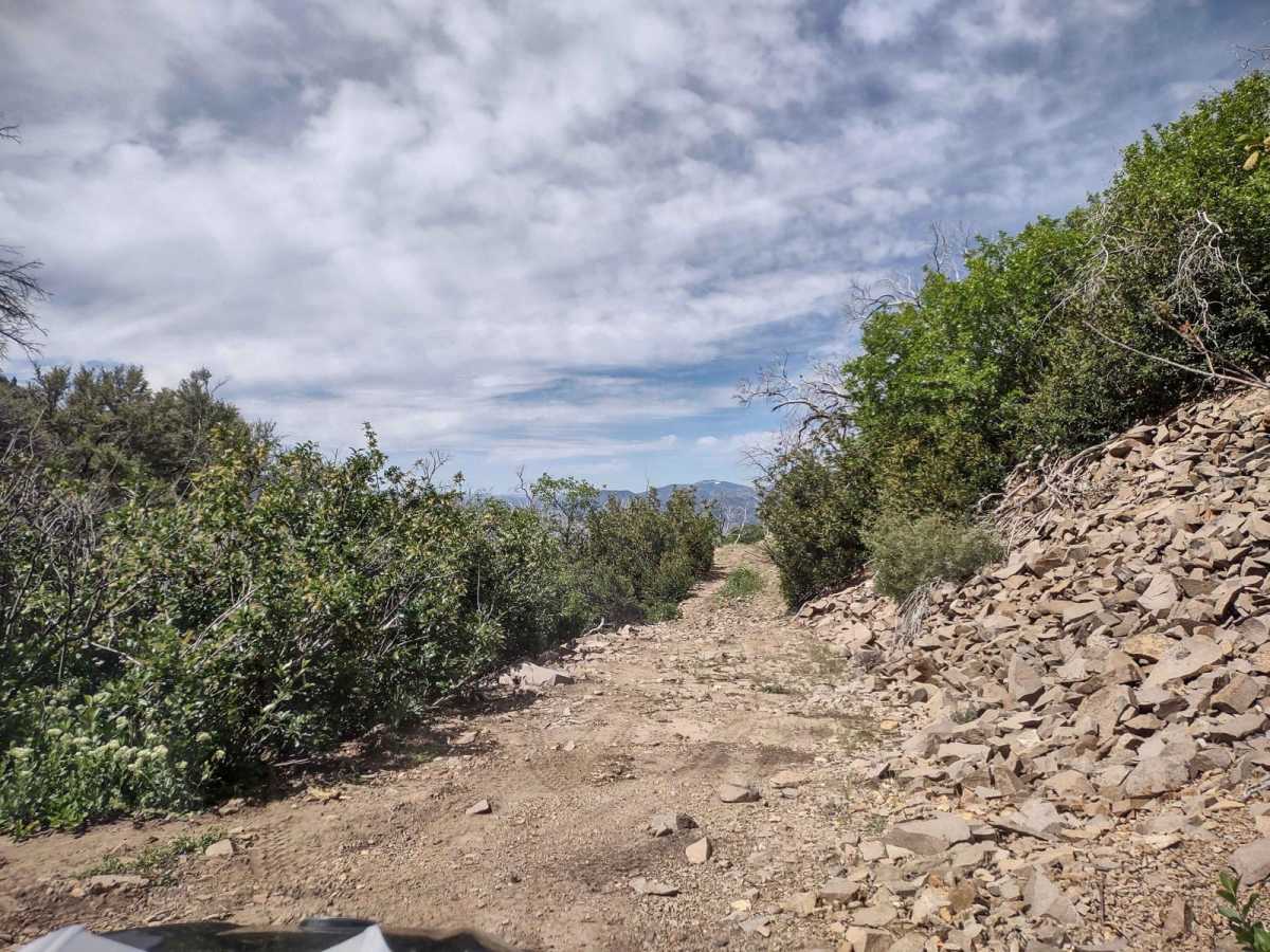 Smith Canyon Access (FS# 41190) trail photo