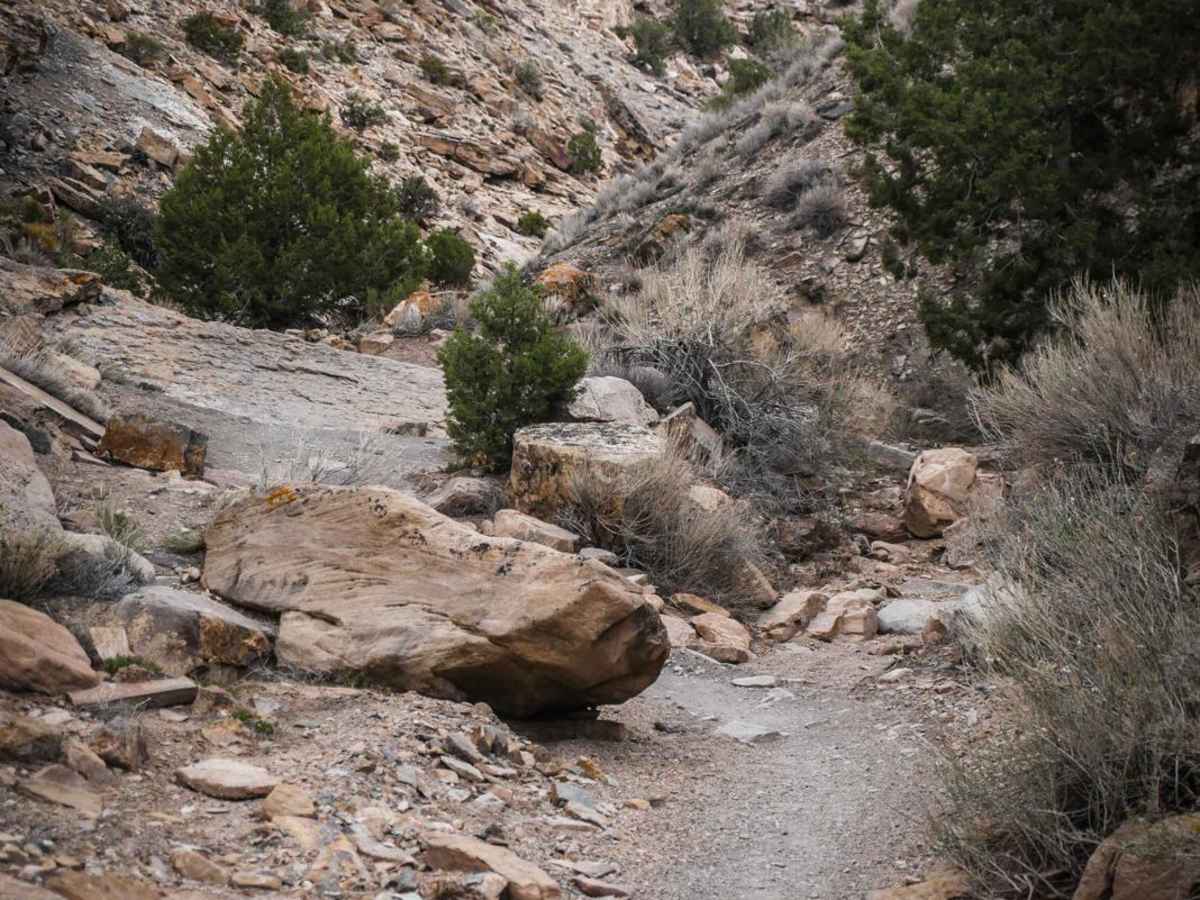 Eagle Valley photo 4