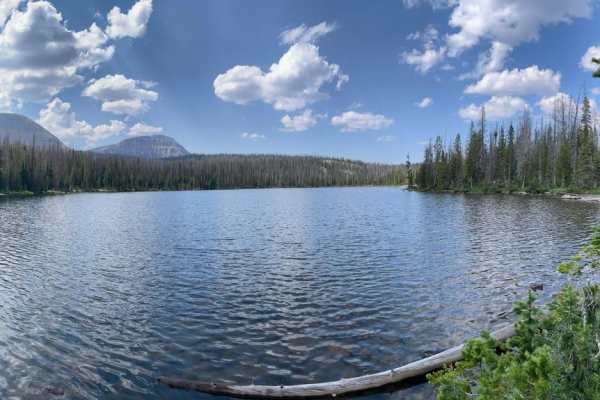 Murdock Basin - FR 80137