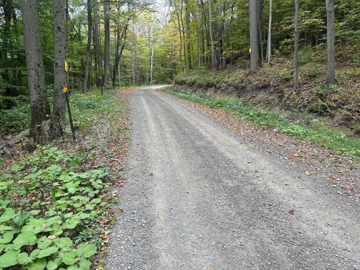 Sweeney/Ford Road photo 6
