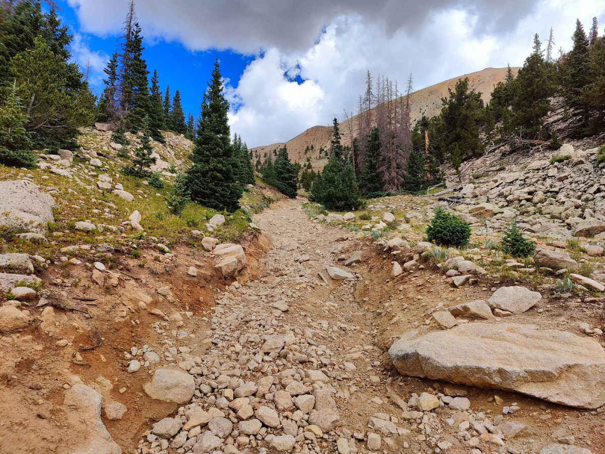 Browns Creek Trail photo 4