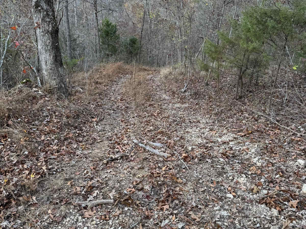Yellow 207 trail photo