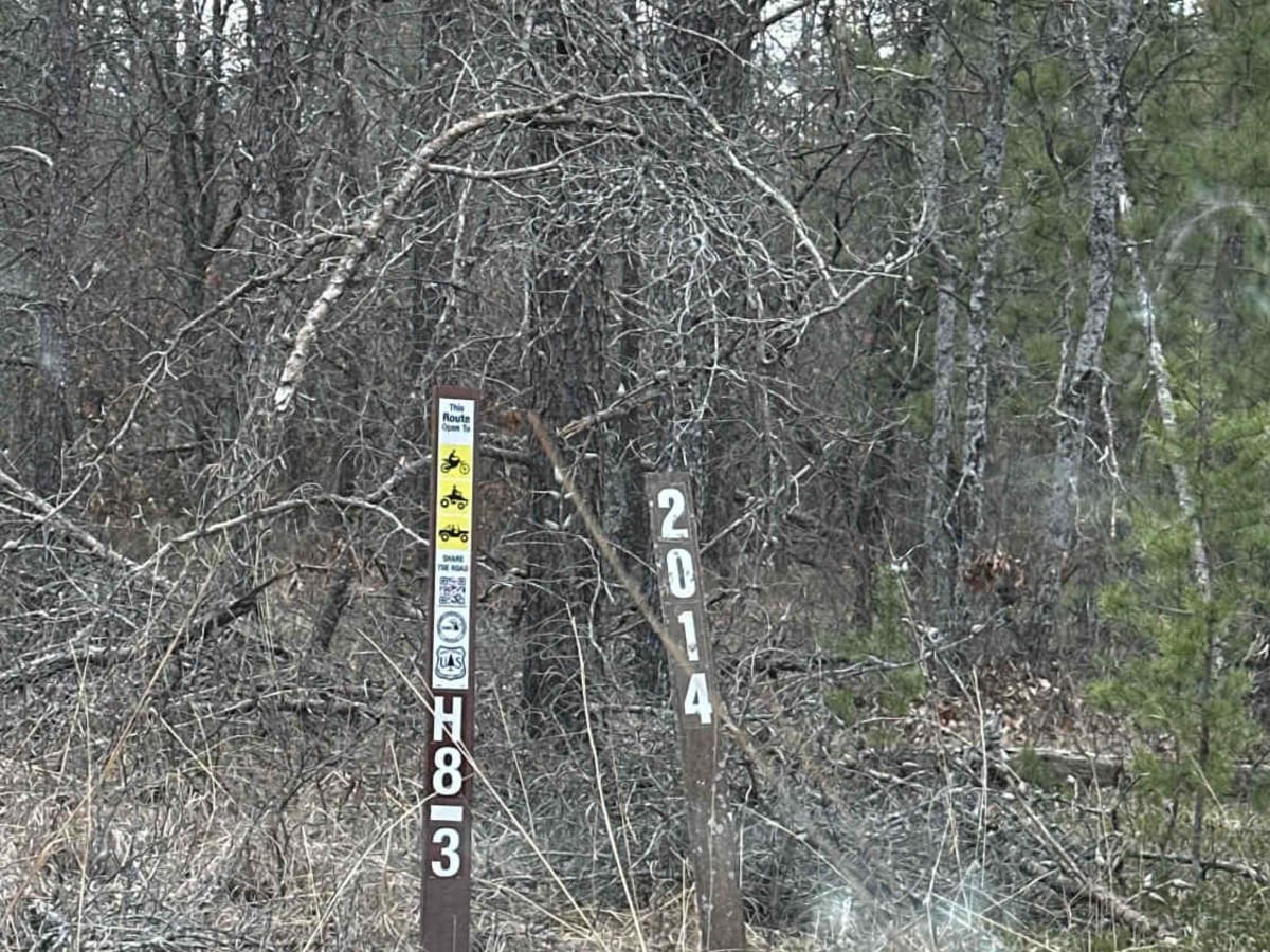 FS 2014 trail photo