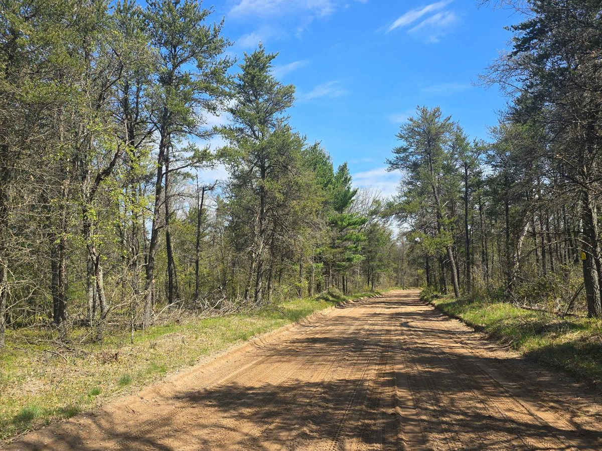 Beaver Lake Trail photo 2