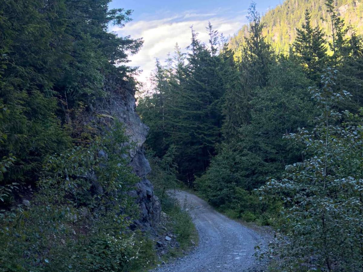 Mount Woodside photo 4