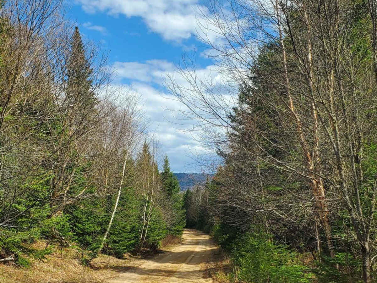 Skipping Montagne Noire - 01A trail photo