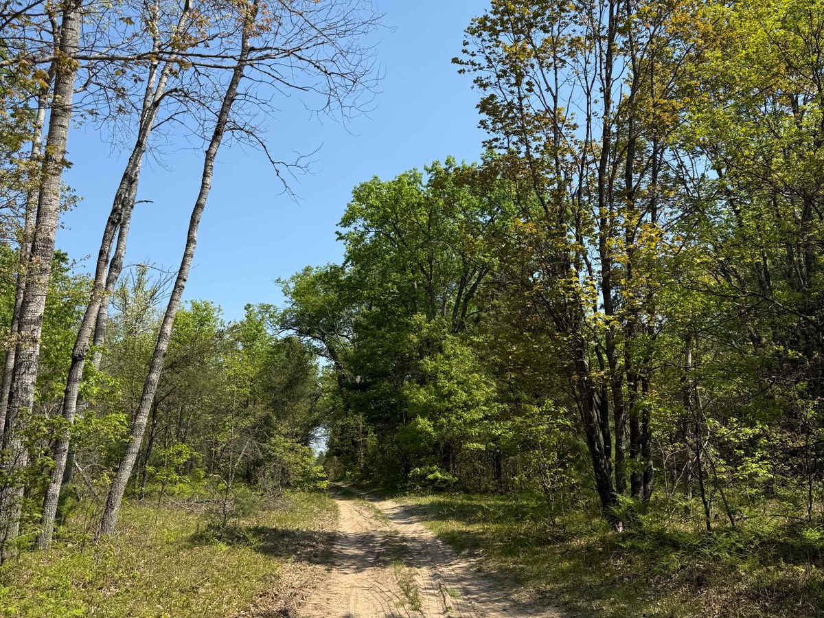 County Meadow Trail photo 3