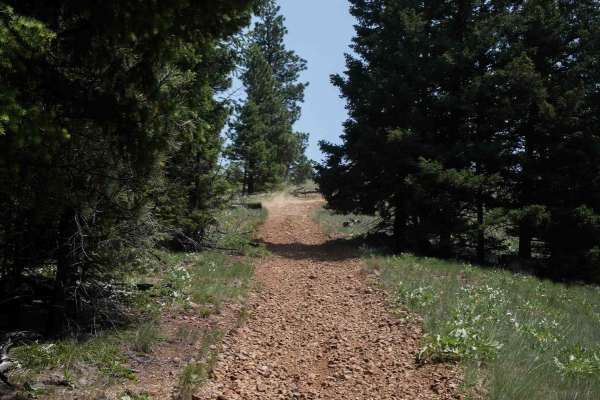 Trail #185 (Part 1)