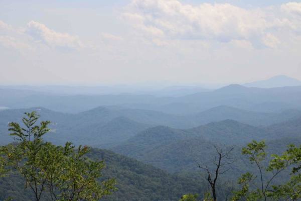 Steel Knob/Chestnut Mountain