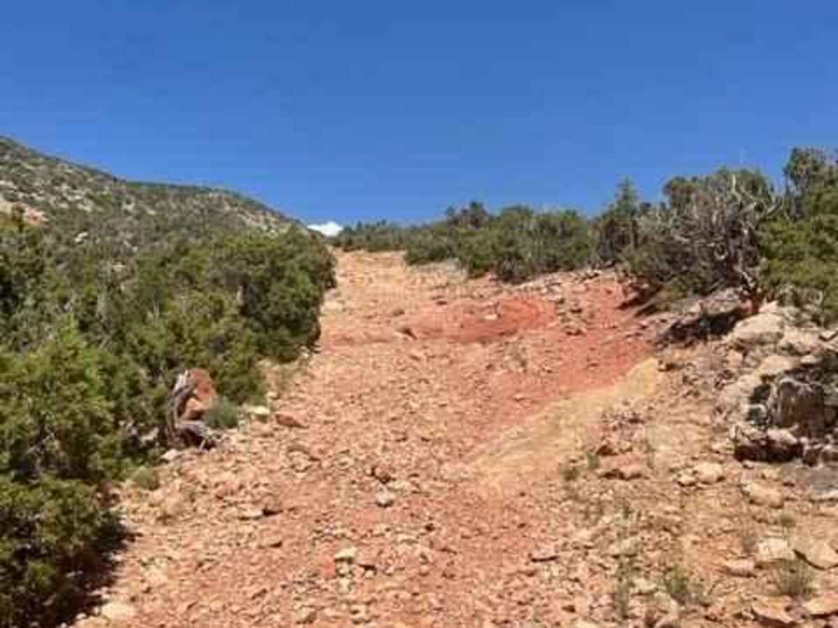 King Trail #2011 photo 5
