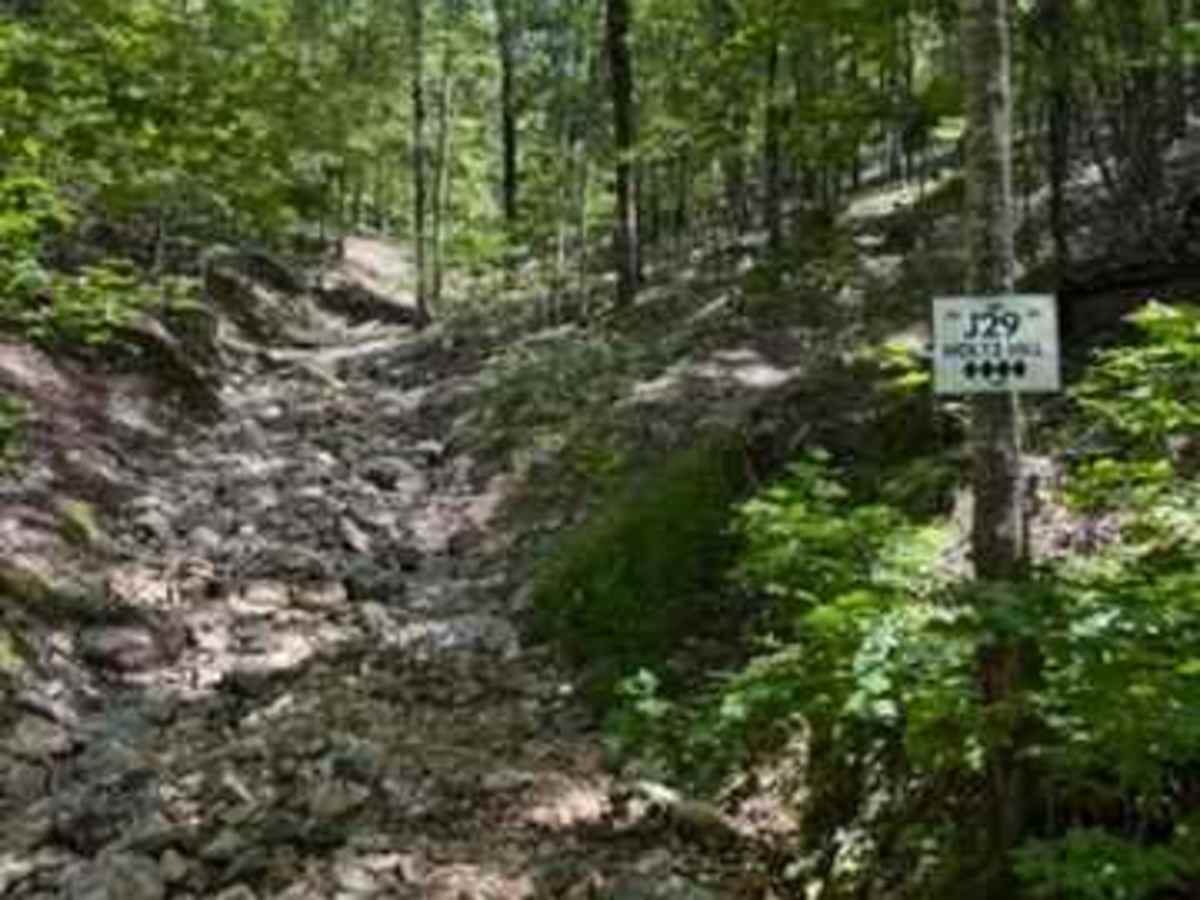 J29 Holtz Hill photo 2