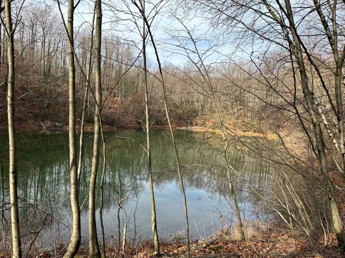 Wimzy Water Hole Trail photo 6