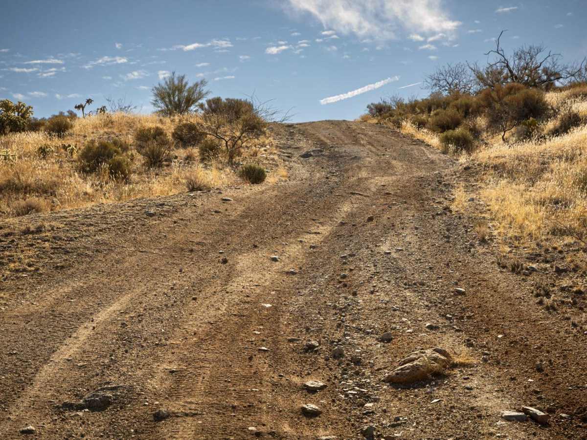 Lovetta Trail photo 2