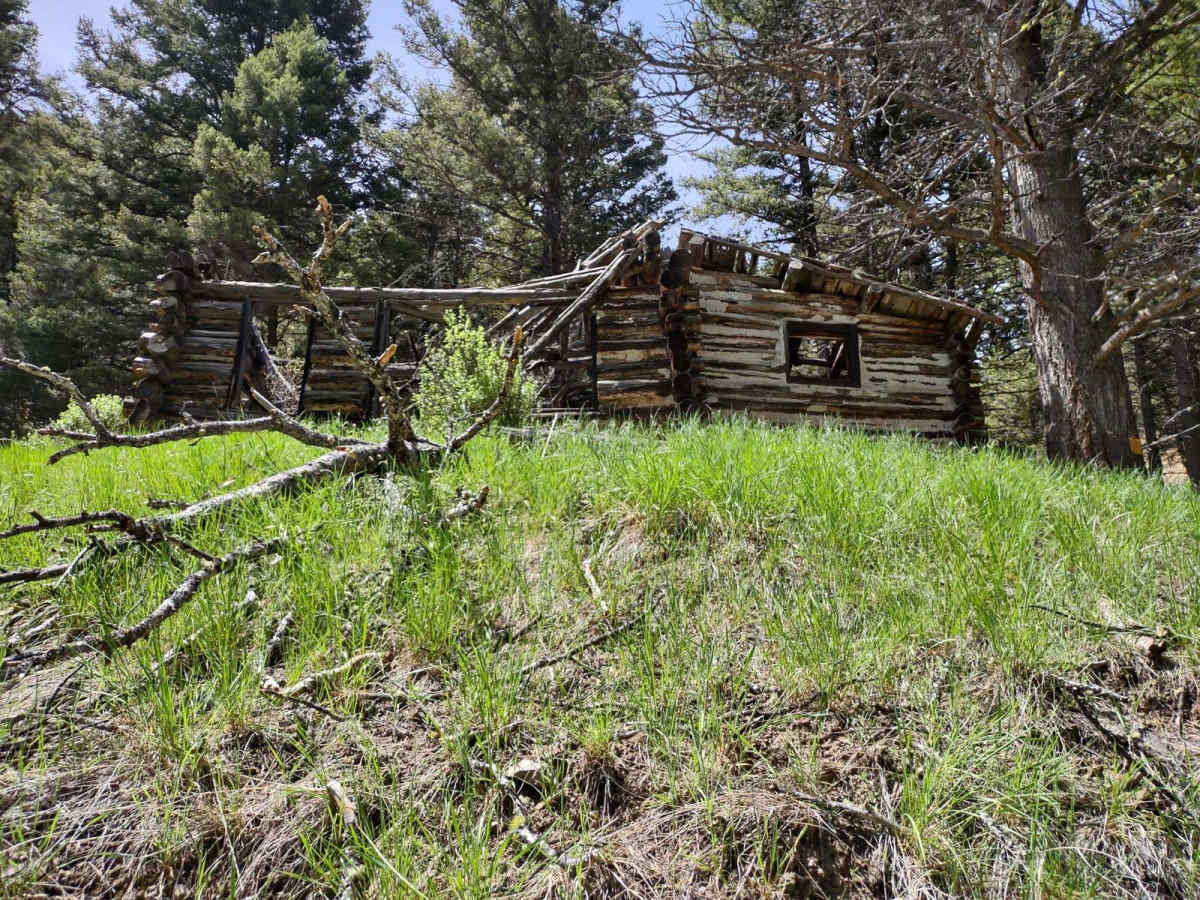 Merrel Springs photo 5