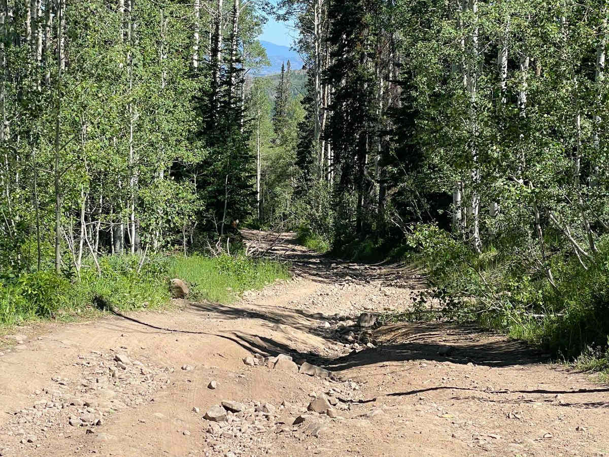 Center Creek - FR 70309 photo 4