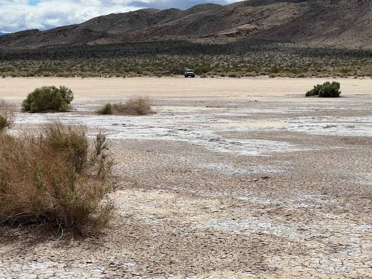 Clark Dry Lake photo 5