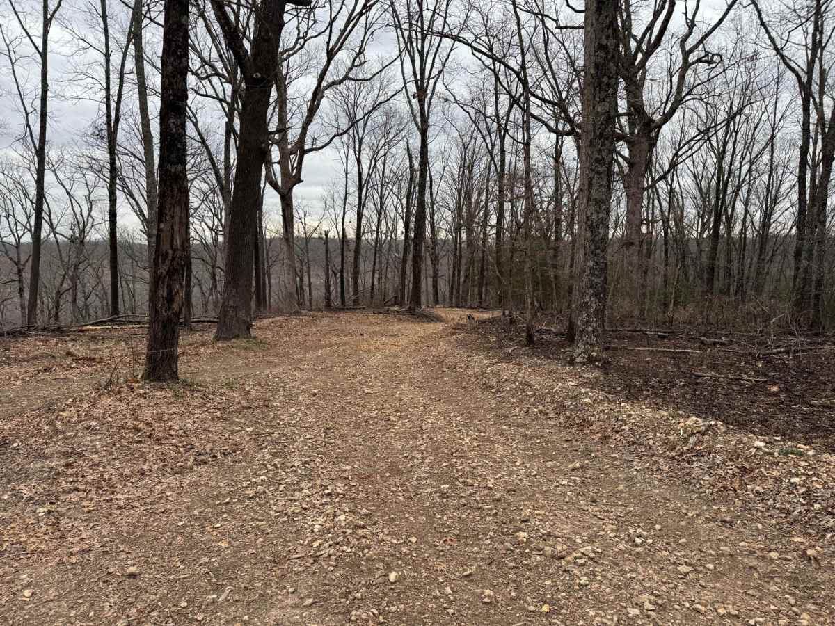 Wildcat Road photo 4