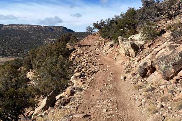 BLM Route 31