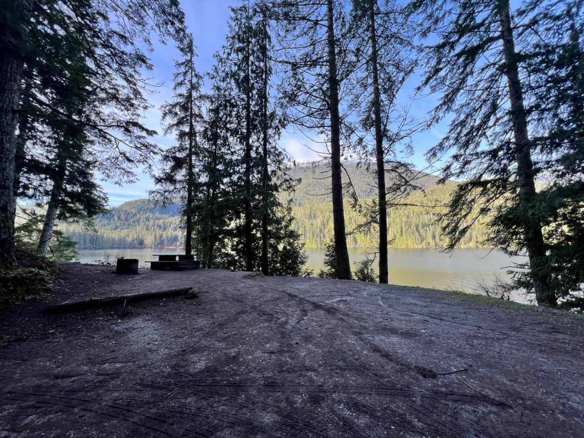 Little Bear Bay photo 6