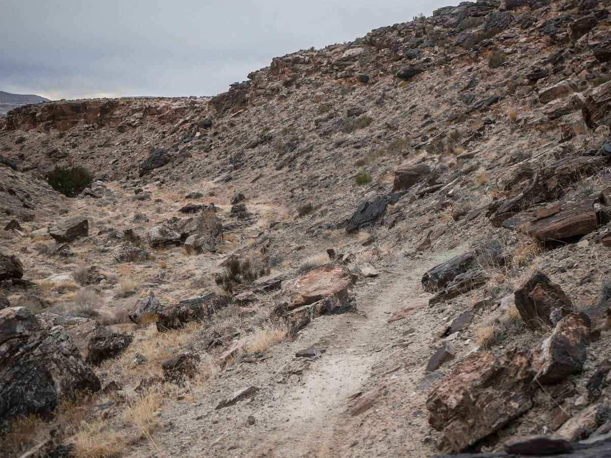 Cedar Mountain Canyon photo 3