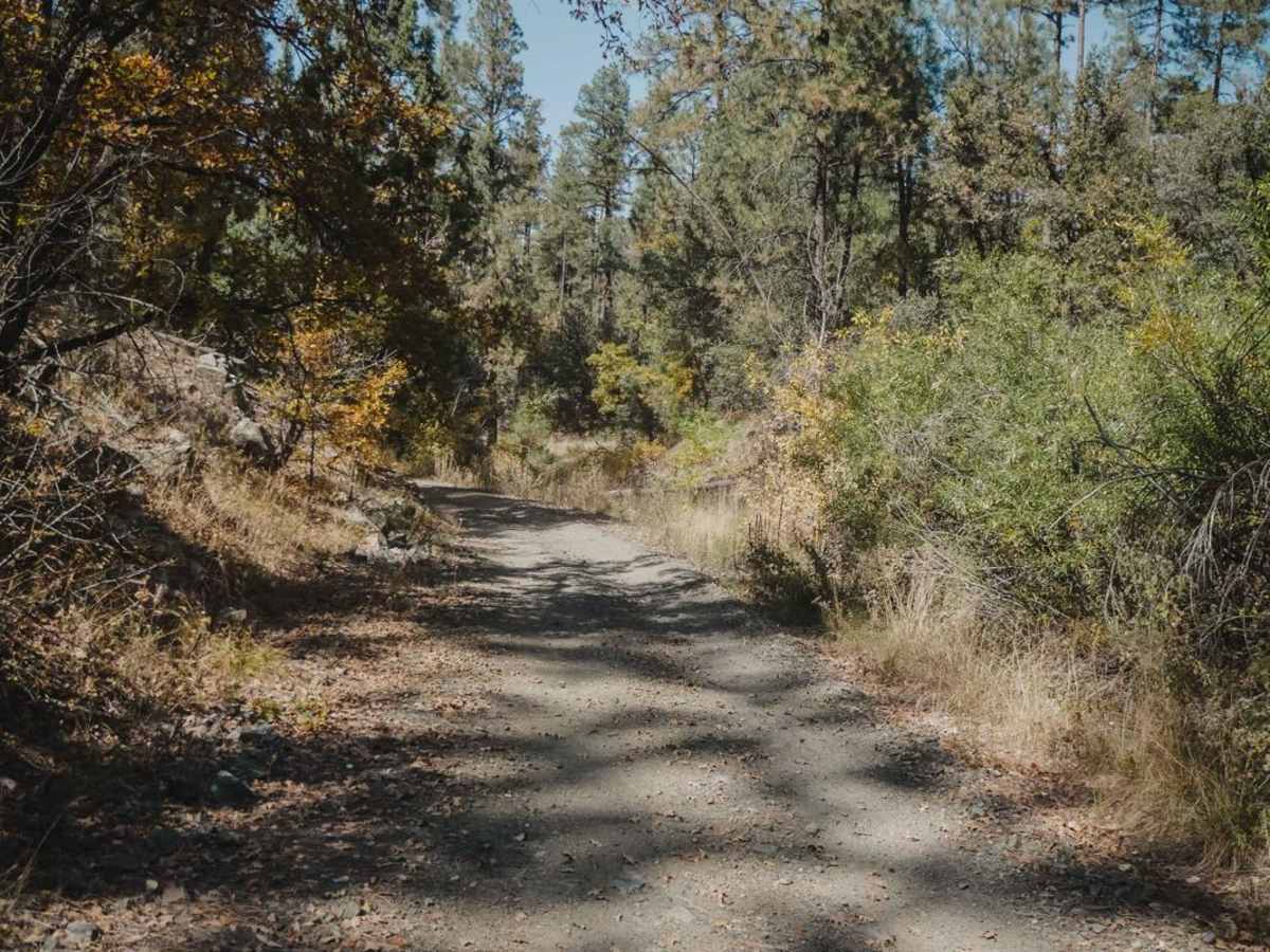 Schoolhouse Gulch photo 2