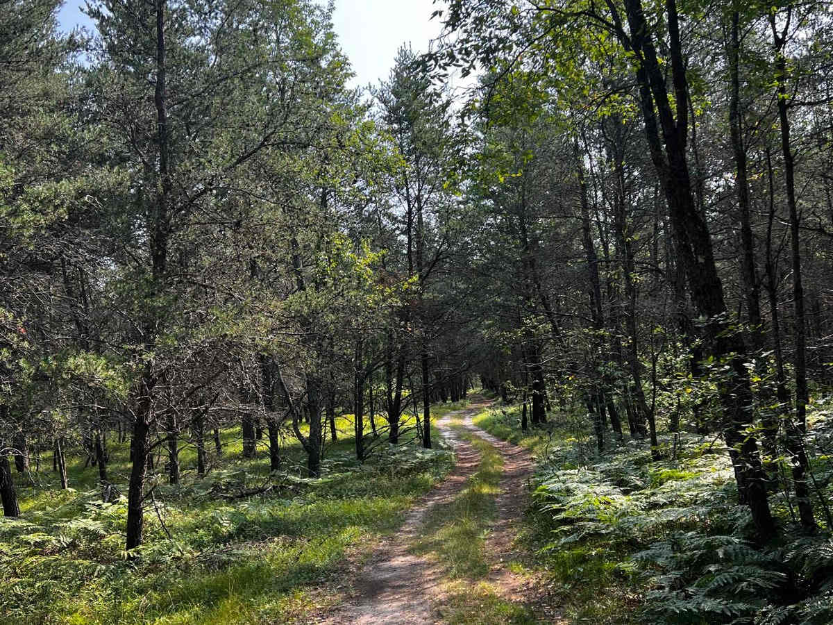 Tight Twiddler Trail photo 4