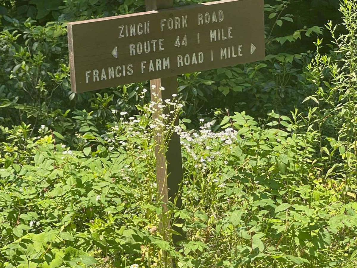 Zink Fork Road photo 4