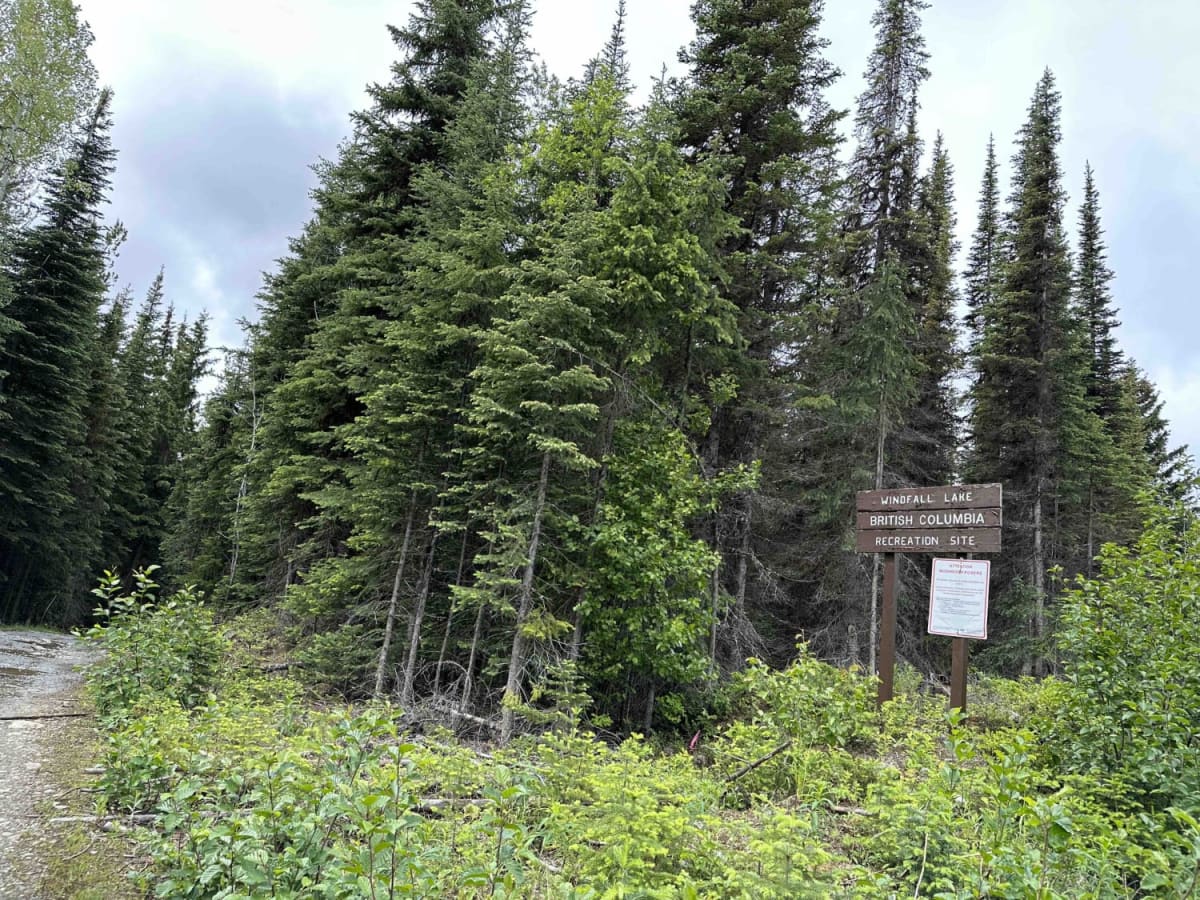 Whitewood Lake Rec Site to Windfall Lake Rec Site trail photo