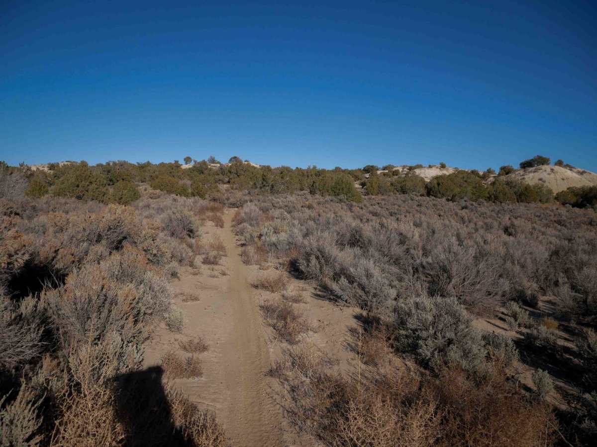 Mini Ridge Singletrack photo 6