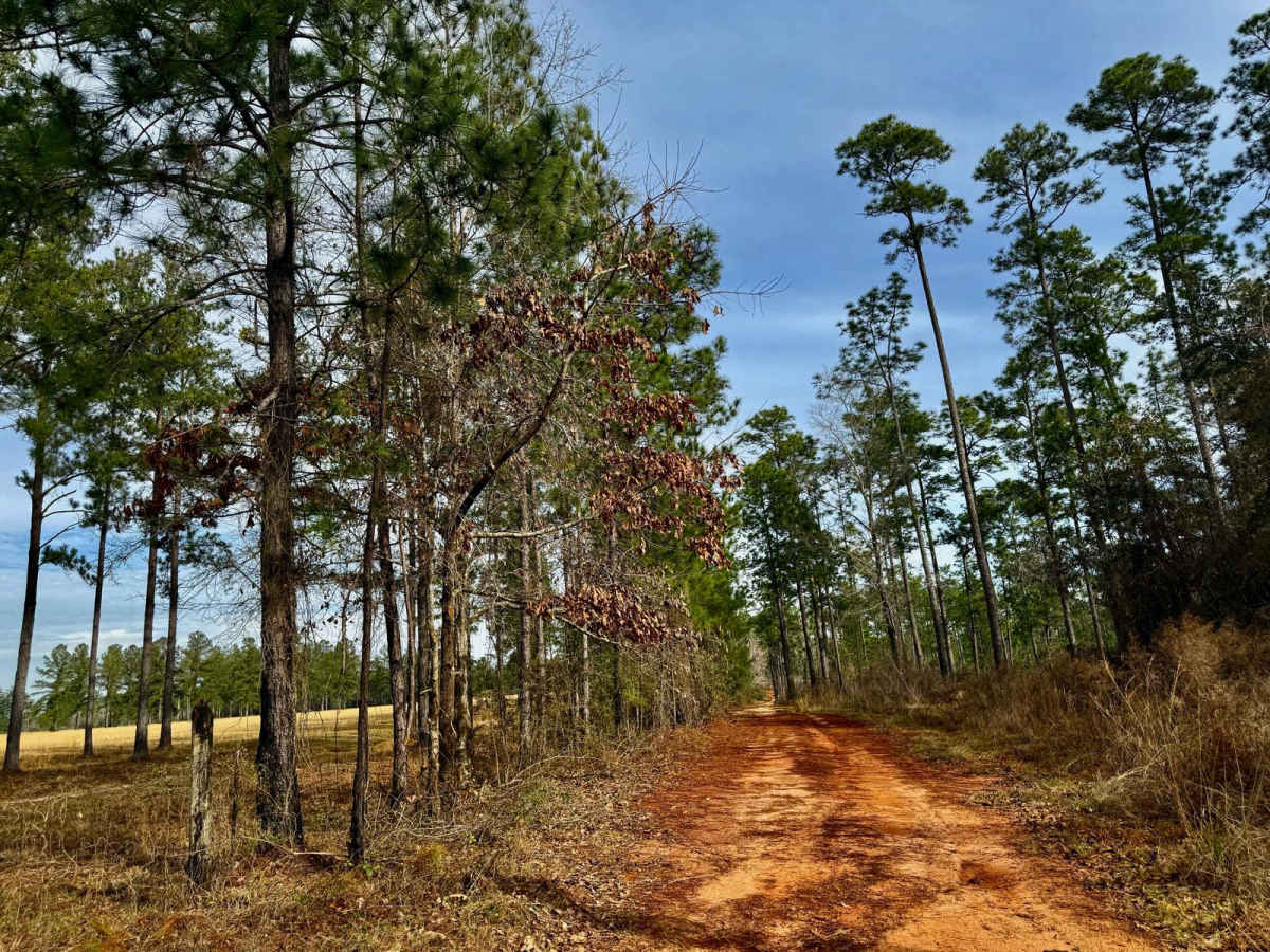 J39 trail photo