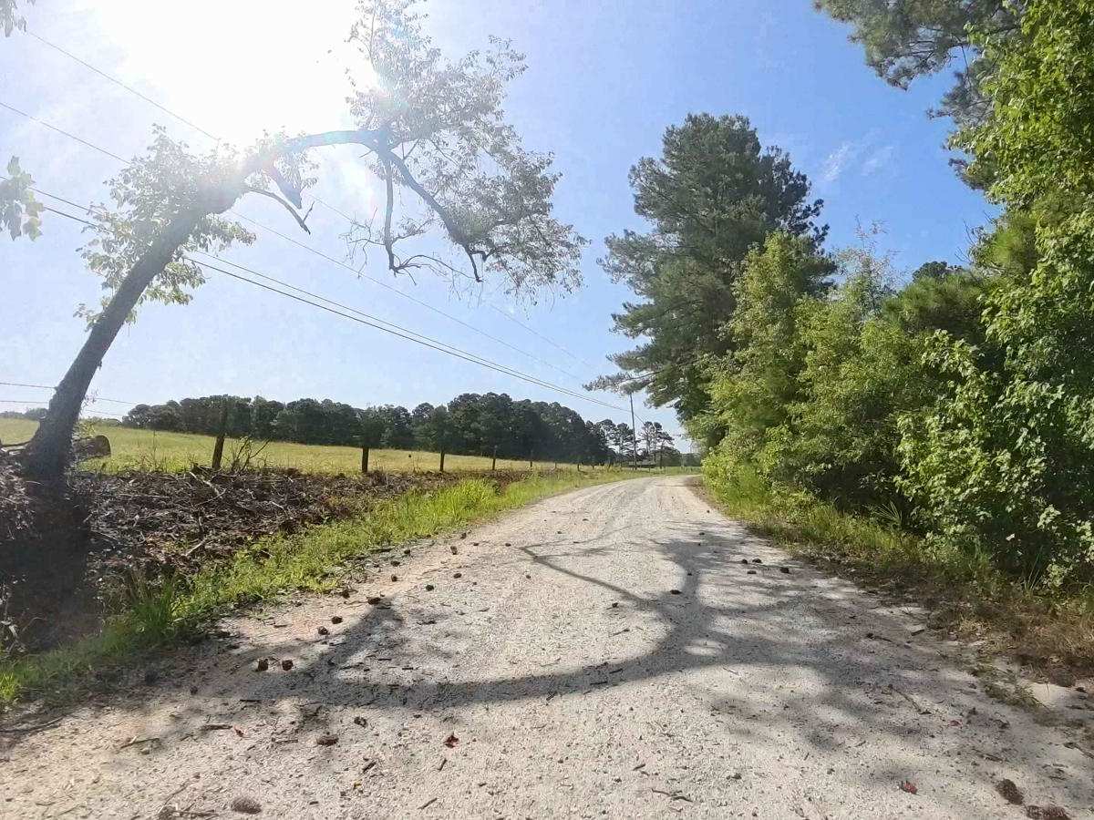 Lion Lane trail photo