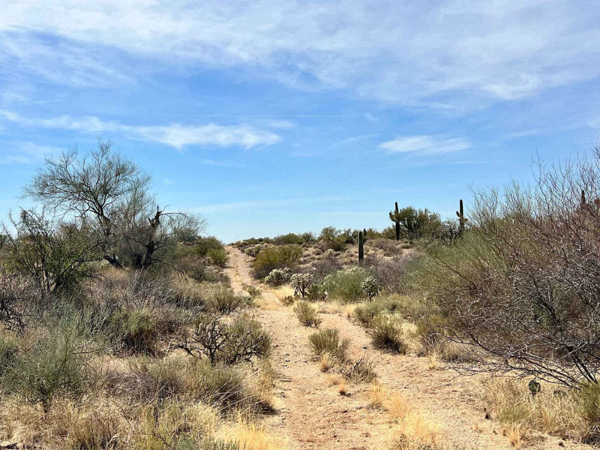 Freeman Pipeline Trail photo 6