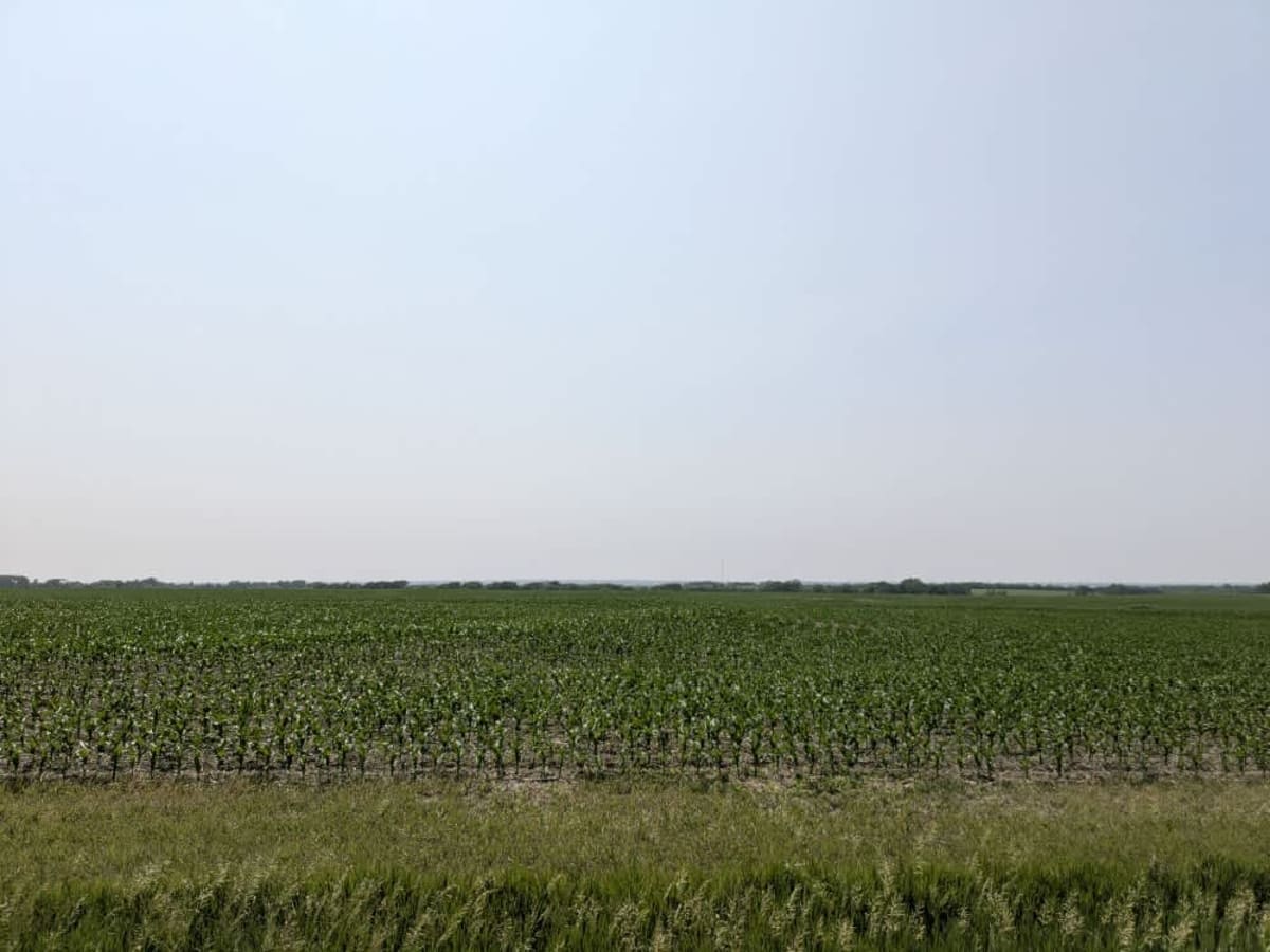 11th Road photo 5