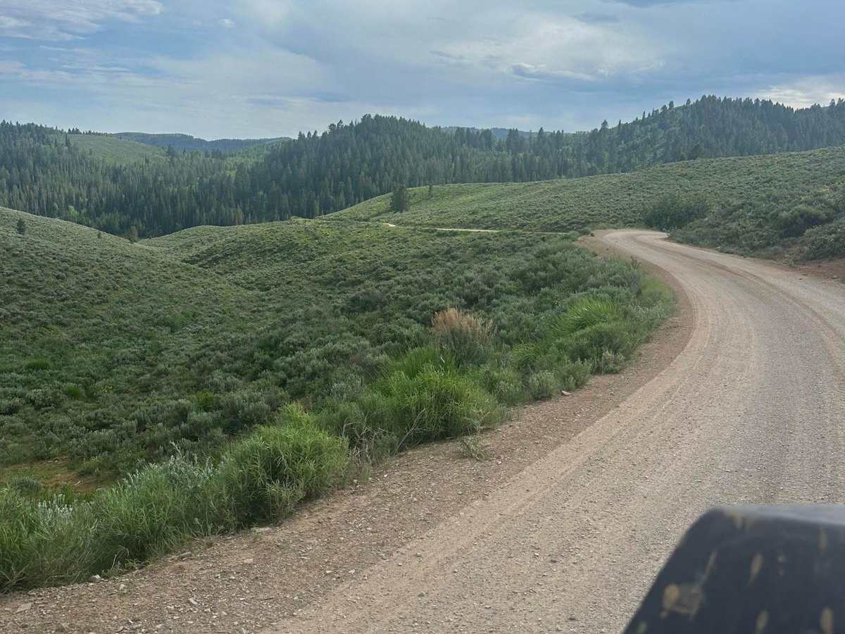 Crow Creek photo 3