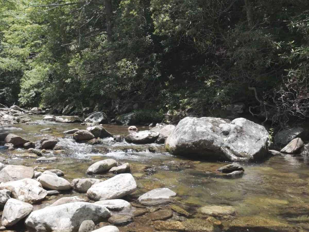 South Toe River photo 6