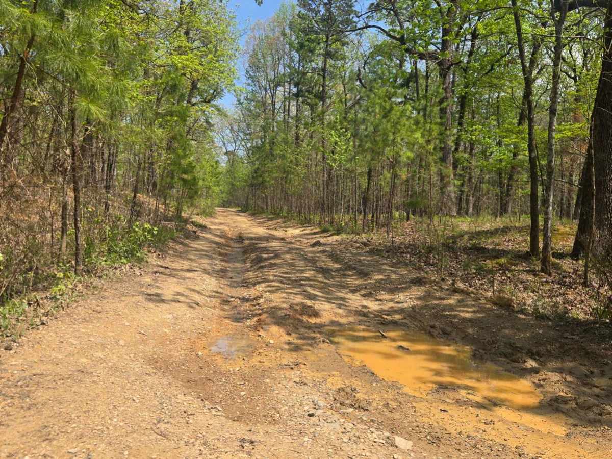 Bee Creek Trail photo 4