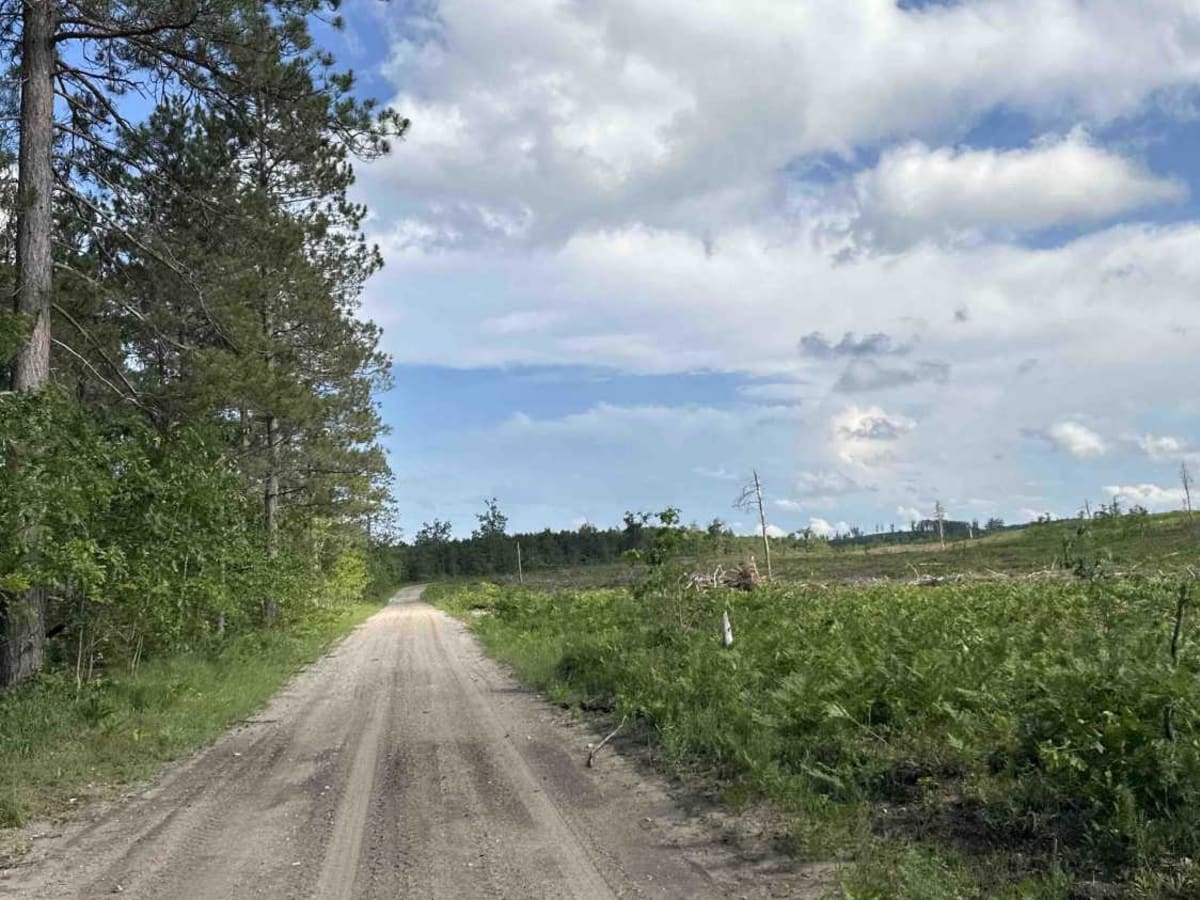 Elk Road photo 4