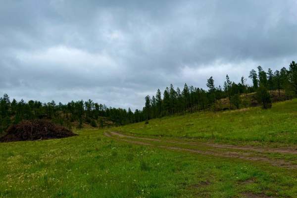 Tepee Branch Road - FS 271.1A