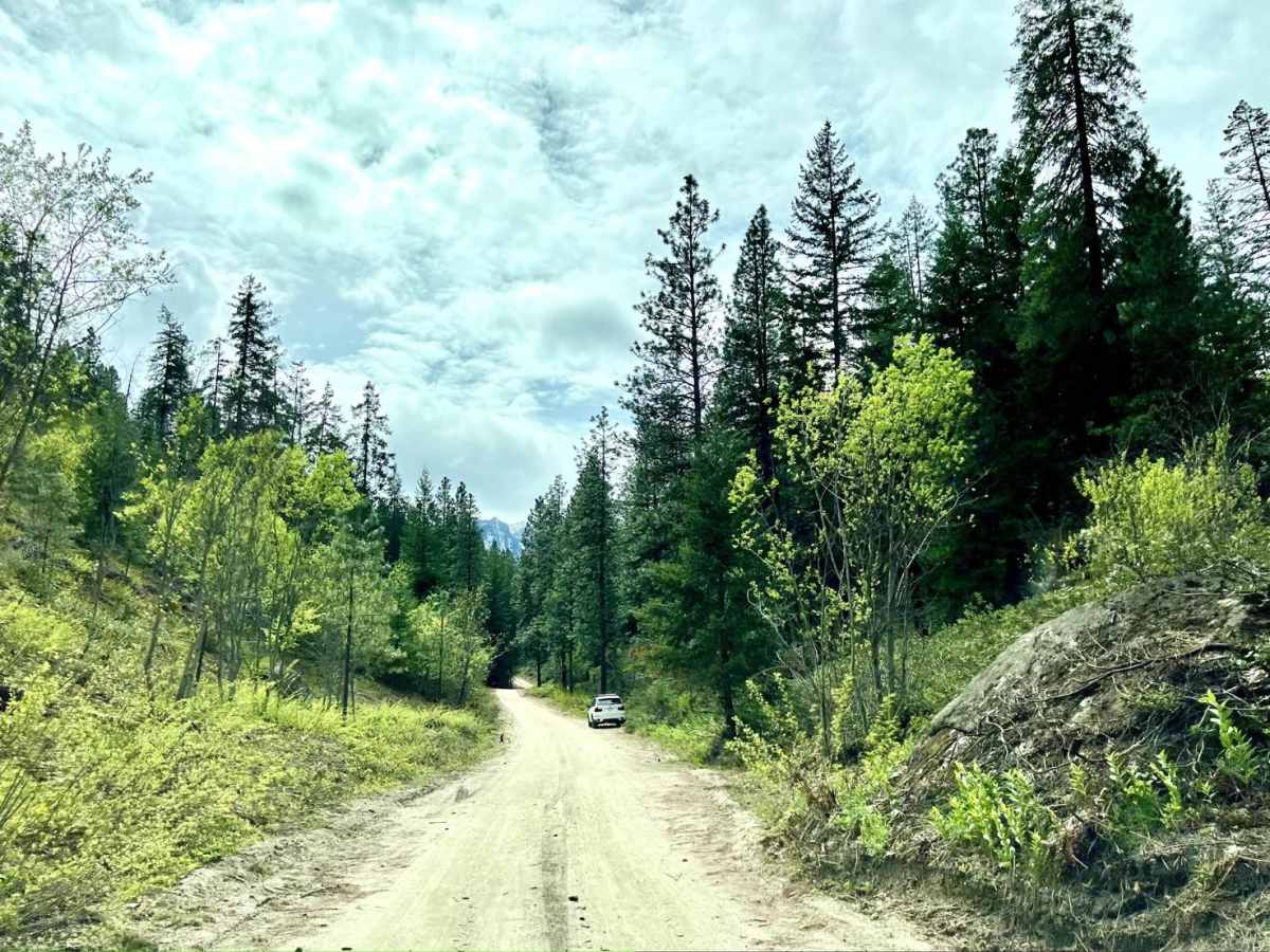 Mountain Home Ranch Road photo 2