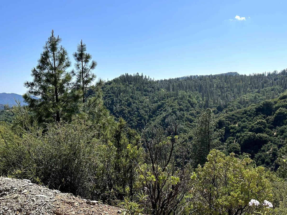Candy Rock Road P.2 photo 5
