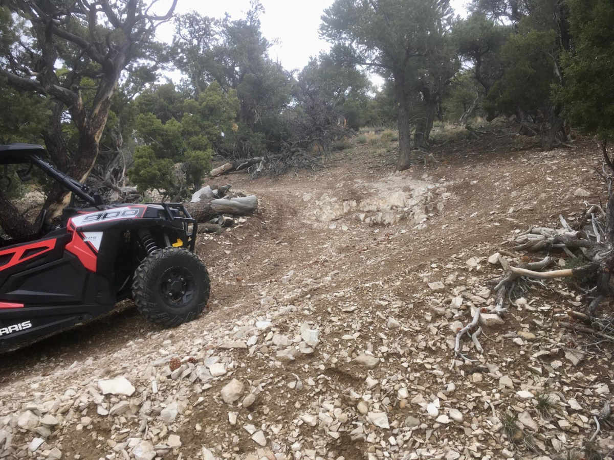 Ice Plant ATV Loop trail photo