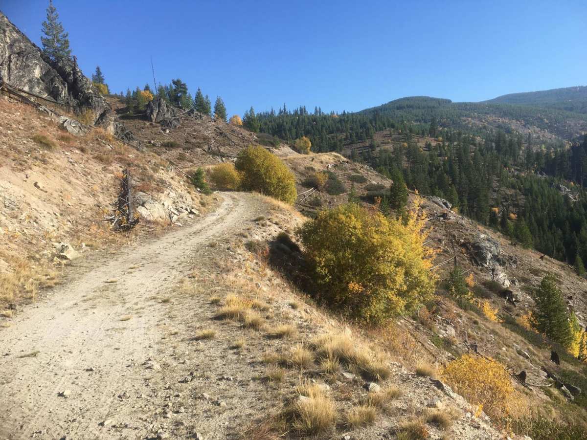 Darby Trails Loop 2 photo 3