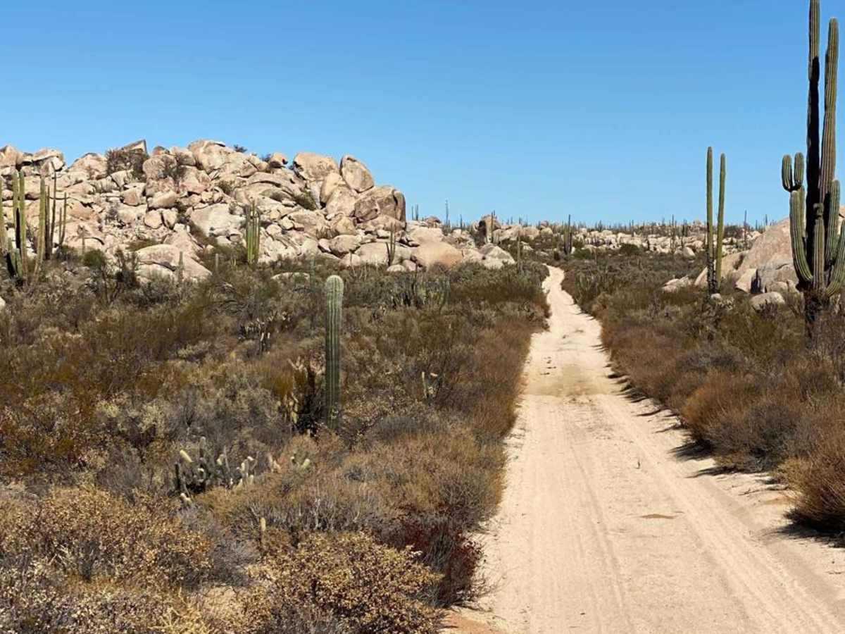 Los Cirios Trail photo 4