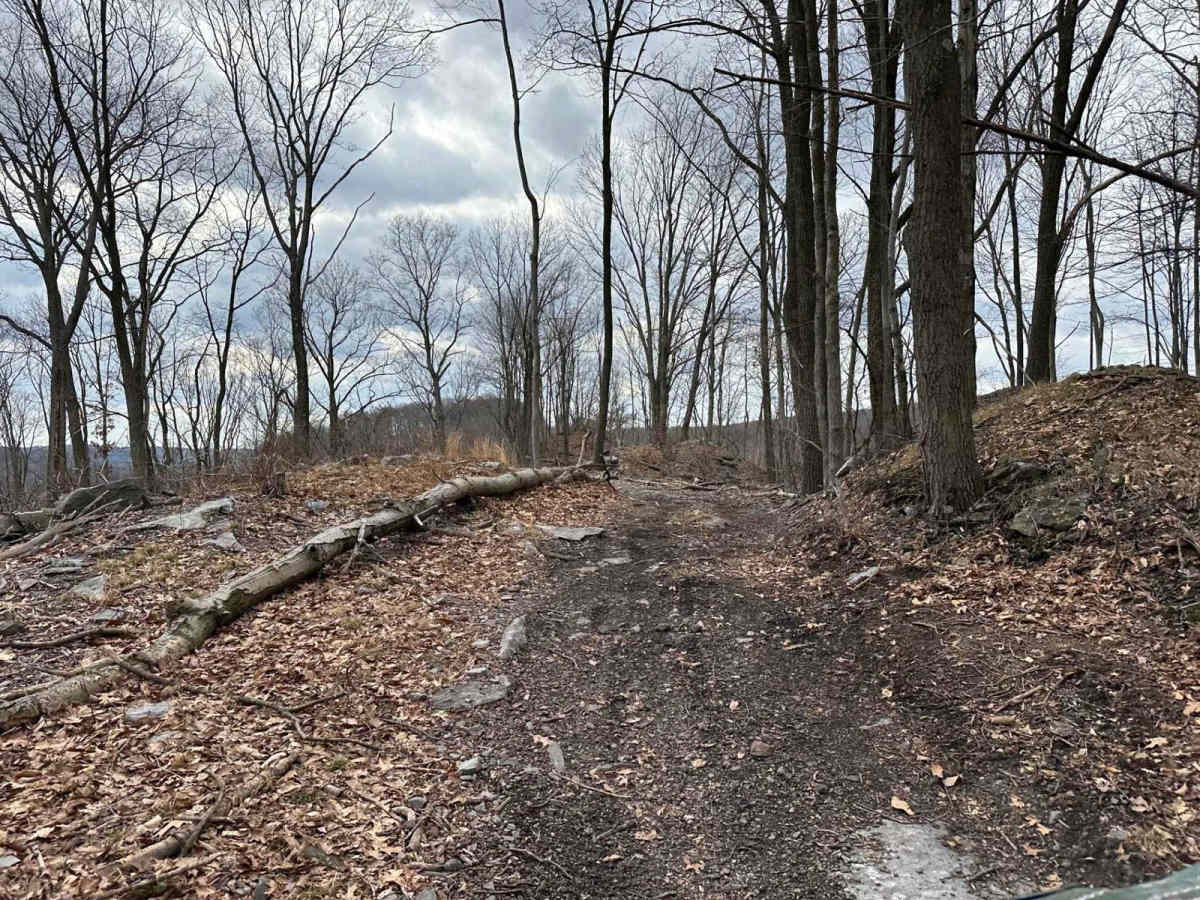 Ashland 62 Inner Loop photo 4