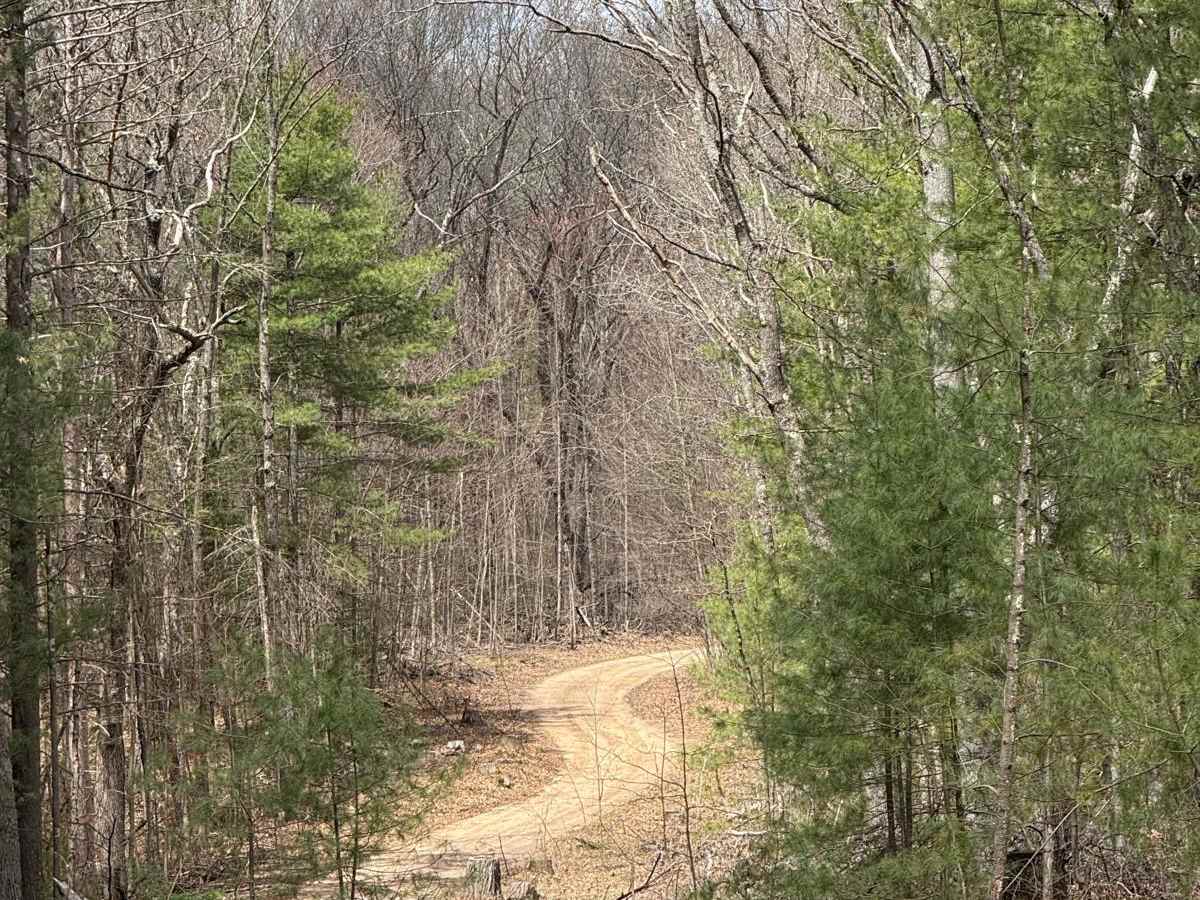 NFS 5452 trail photo